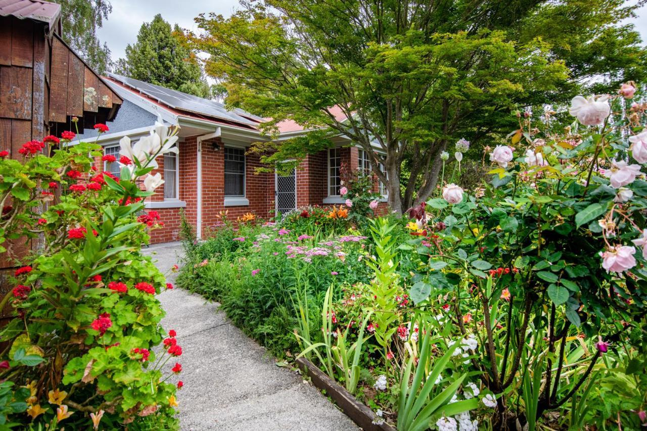 Alexandria Bed And Breakfast Wynyard Exterior photo